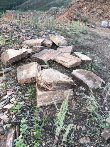 Плитняк кора дерева 50-100мм для пошаговых дорожек купить в Чайковском